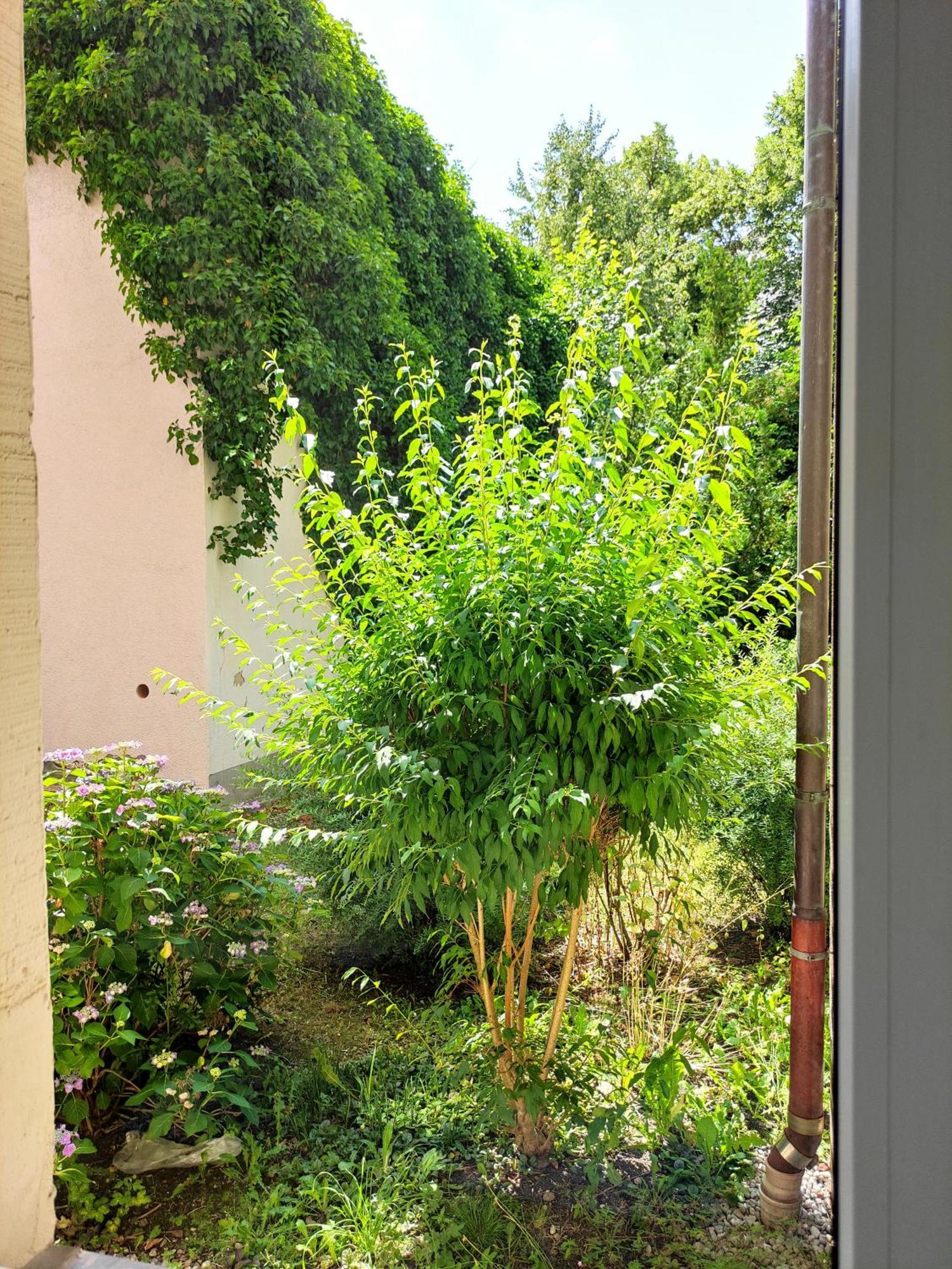 Exklusive Wohnung Mit Kingsize-Bett I 75Qm I Am See I Netflix I Gratis Kaffee & Teeangebot Chemnitz Exterior foto